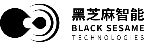 Black Sesame International Holding logo